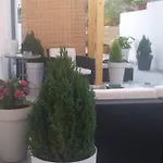 Daire Wellness Ra Primošten