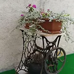 Wellness Ra Daire Primošten