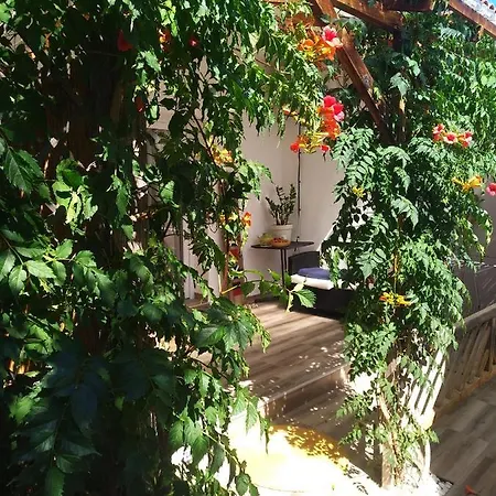 Wellness Ra * Primošten