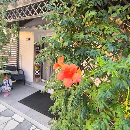 Apartment Wellness Ra- Enjoy Our Jaccuzi, Sauna, E Bike ,fitness , Waterskiing