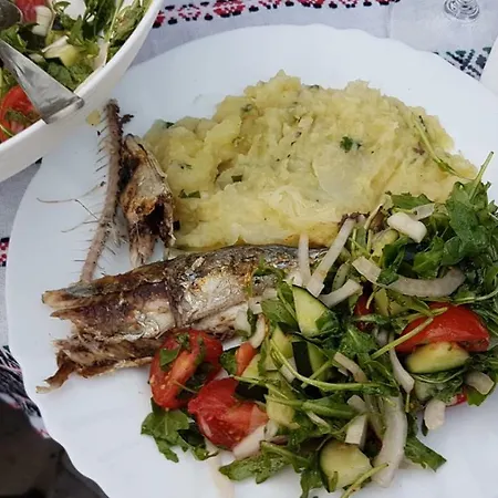 Wellness Ra- Enjoy Our Jaccuzi, Sauna, E Bike ,fitness , Waterskiing Primošten