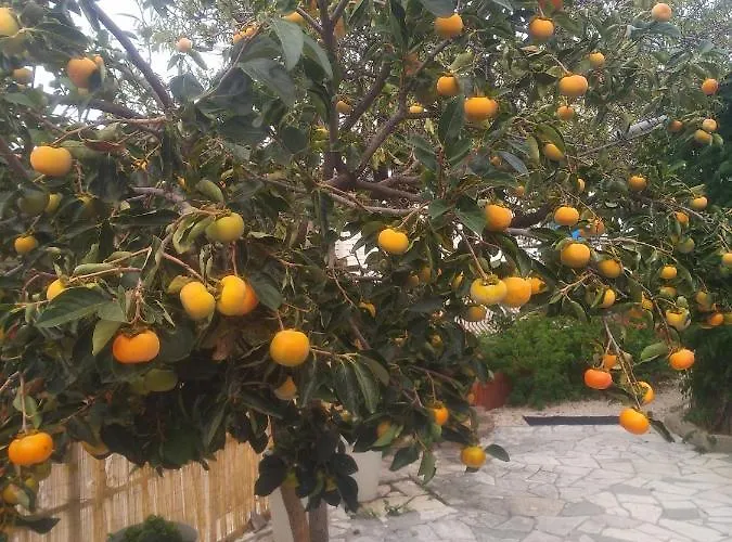 Wellness Ra- Enjoy Our Jaccuzi, Sauna, E Bike ,fitness , Waterskiing